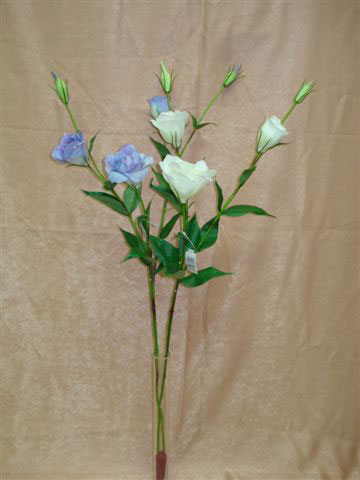 Лизиантус голубой, белый, в-78 см., шелк. см.внутри
