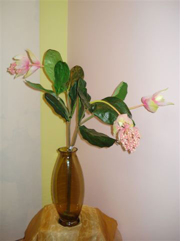 Мединелла розовая, силикон, 2 ветки на 1 срезе, в-83 см.  96131021