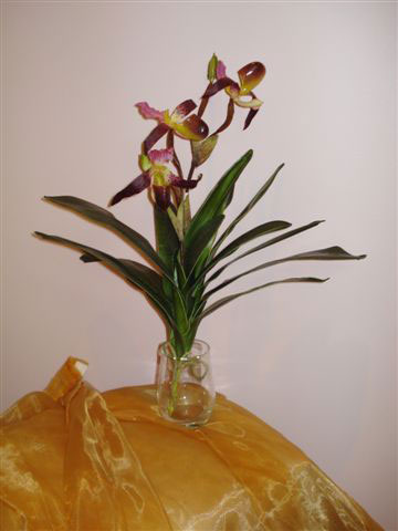 Орхидея туфелька, сиреневая, силикон, в-41 см. 94373028