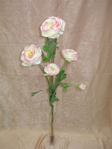 Ранука бело-розовая, 4 цветка, 1 бутон, в-84 см. шелк. 95456014