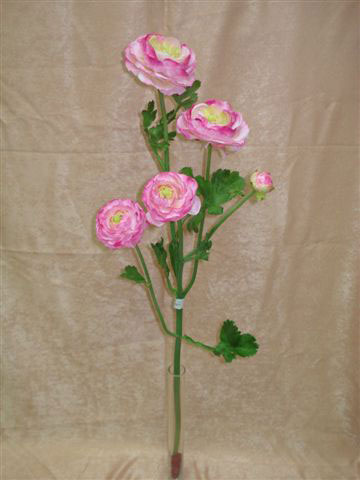 Ранункулус бело-розовый, 4 цветка, 1 бутон, в-84 см. шелк. 95456022