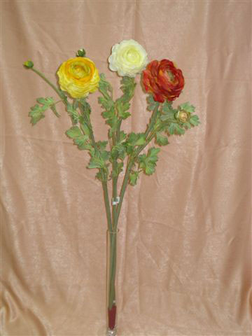 Ранункулус, 1 цветок, 1 бутон, в-72 см. см.внутри