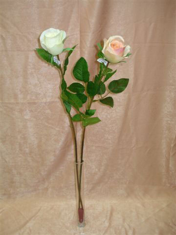 Роза белая, светло-розовая, в-72 см. см.внутри
