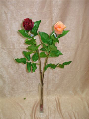 Роза бордовая, светло-оранжевая, в-72 см. см.внутри
