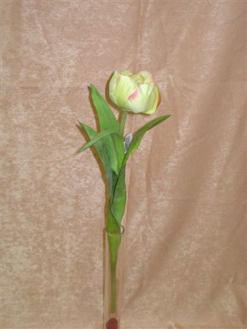 Тюльпан бело-розовый, в-47 см. шелк. 94799052