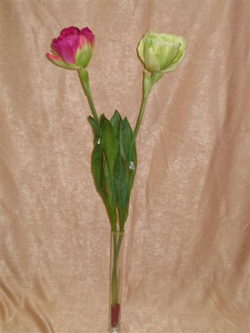 Тюльпан пионовый красный, зеленый, в-75 см. шелк. см.внутри