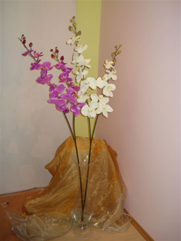 Фаленопсис, шелк гладкий, фиолетовая, в-145 см, 2 ветки на 1 срезе. см.внутри