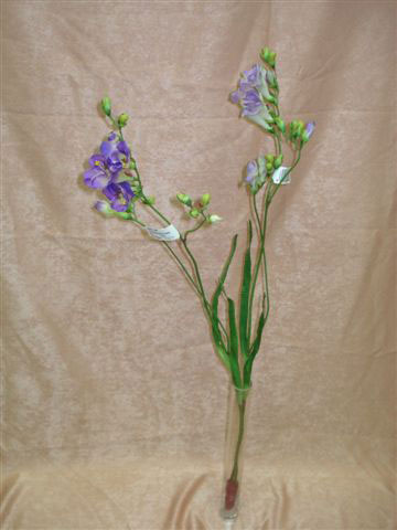 Фрезия, 6 цветов, в-75 см. шелк. см.внутри
