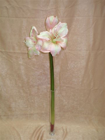 Амариллис бело-розовый, в-65 см., шелк. 93201020
