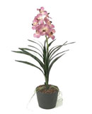 Орхидея Ванда светло-пурпурная 65 см 4/