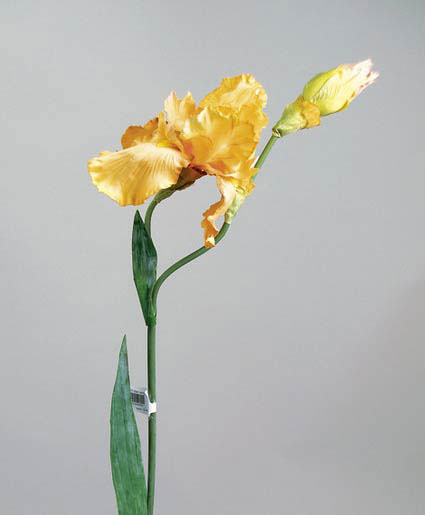 Ирис желтый в-110 см. 1 цветок 2 бутона, шелк. 93065018