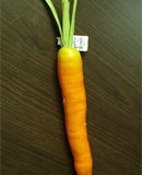 Морковка 25 см